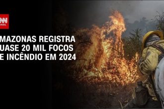 amazonas-tem-mais-de-3-mil-casos-de-srag:-entenda-como-queimadas-contribuem