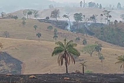 mesmo-com-chuva,-sao-paulo-ainda-conta-com-focos-de-incendios-ativos