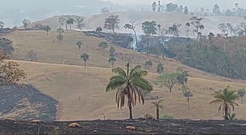 mesmo-com-chuva,-sao-paulo-ainda-conta-com-focos-de-incendios-ativos