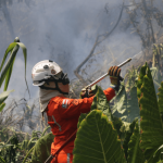 mais-de-400-incendios-florestais-foram-combatidos-nos-ultimos-dois-meses-na-bahia