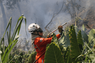 mais-de-400-incendios-florestais-foram-combatidos-nos-ultimos-dois-meses-na-bahia