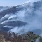 governo-estadual-investiga-mais-de-20-pessoas-por-incendios-florestais-no-rio