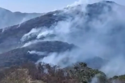 governo-estadual-investiga-mais-de-20-pessoas-por-incendios-florestais-no-rio