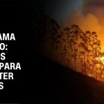 brasil-registra-quase-1.800-focos-de-incendio-nas-ultimas-24-horas