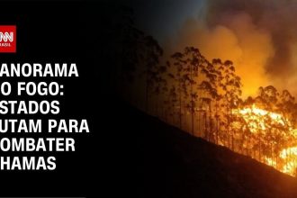 brasil-registra-quase-1.800-focos-de-incendio-nas-ultimas-24-horas