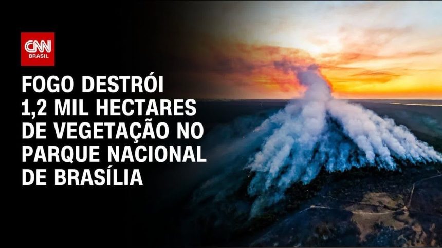 brasilia-registra-maior-temperatura-de-2024,-diz-climatempo