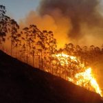 governo-antecipa-bolsa-familia-para-cidades-de-sao-paulo-atingidas-por-incendios