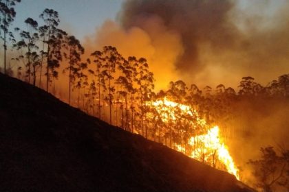 governo-antecipa-bolsa-familia-para-cidades-de-sao-paulo-atingidas-por-incendios