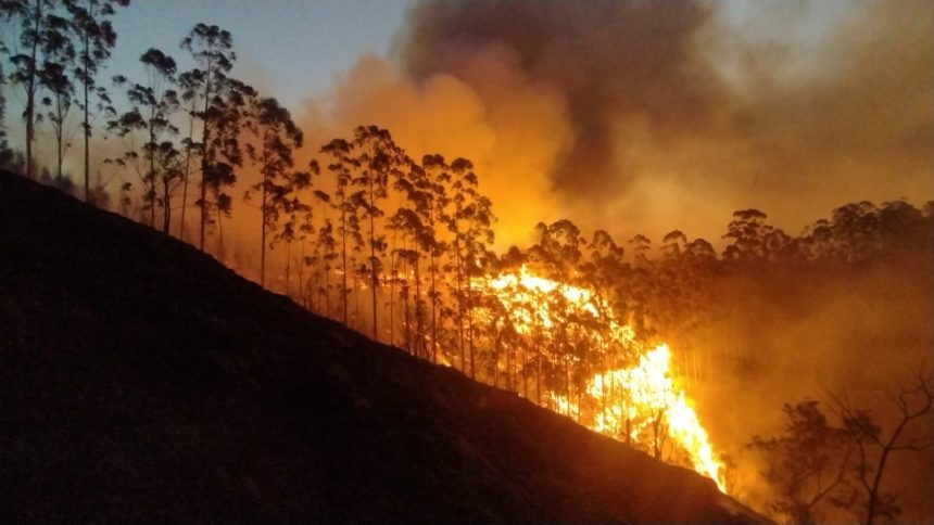 governo-antecipa-bolsa-familia-para-cidades-de-sao-paulo-atingidas-por-incendios