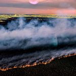 “descuido”-e-“criminosos”-podem-ter-causado-incendios-no-df,-aponta-vice-governadora