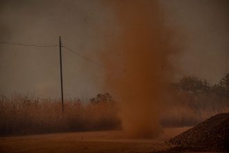 desmatamento-no-cerrado-emite-135-milhoes-de-toneladas-de-gases-do-efeito-estufa