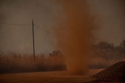 desmatamento-no-cerrado-emite-135-milhoes-de-toneladas-de-gases-do-efeito-estufa