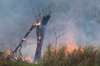 sao-paulo-tem-cinco-cidades-com-focos-de-incendio-ativos,-diz-defesa-civil