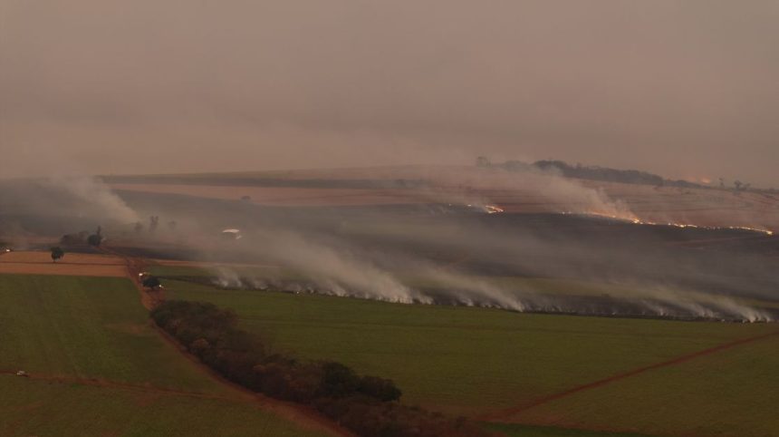 chega-a-25-o-numero-de-detidos-por-incendios-em-sao-paulo