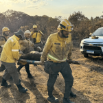 bombeiros-resgatam-anta-ferida-em-incendio-no-parque-nacional-de-brasilia