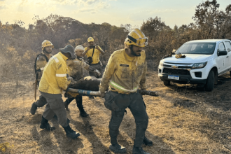 bombeiros-resgatam-anta-ferida-em-incendio-no-parque-nacional-de-brasilia