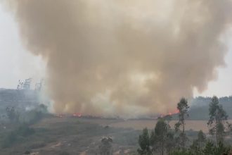 peru-declara-estado-de-emergencia-em-regioes-atingidas-por-incendios-florestais