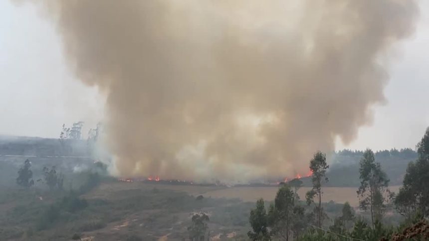 peru-declara-estado-de-emergencia-em-regioes-atingidas-por-incendios-florestais