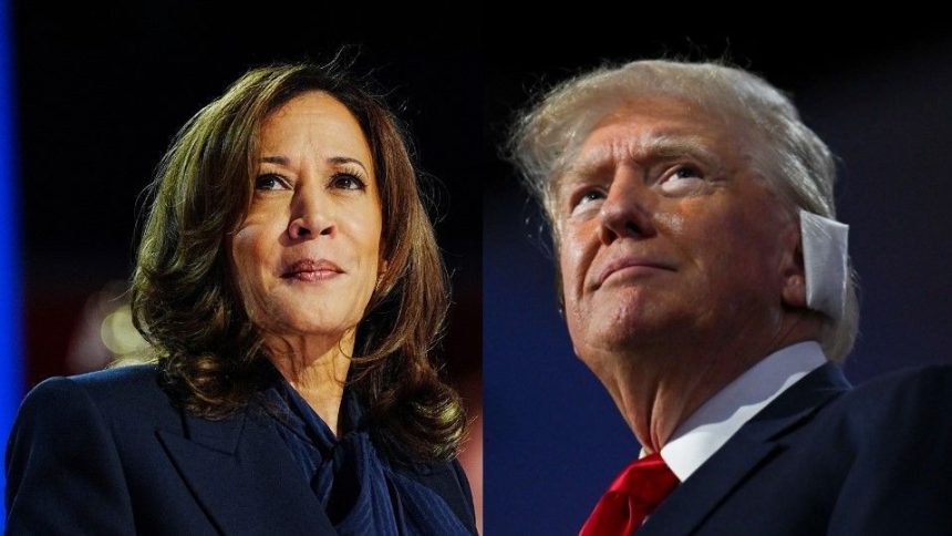 kamala-tem-50%-das-intencoes-de-voto;-trump-48%,-diz-pesquisa-da-fox-news