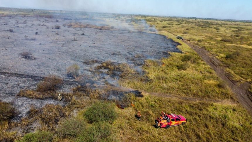 pf-cumpre-mandados-de-prisao-por-incendios-criminosos-no-pantanal