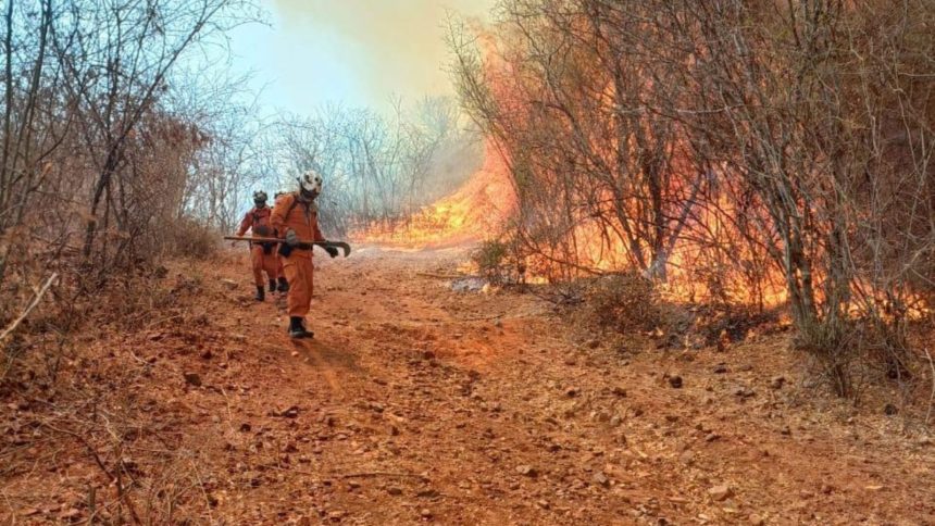 torres-de-vigilancia-adaptadas-fariam-com-que-extincao-do-fogo-fosse-mais-rapida,-diz-especialista-a-cnn