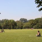 ibirapuera:-dois-em-cada-dez-paulistanos-frequentam-parque-uma-vez-por-mes