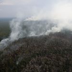 entenda-como-os-incendios-florestais-pelo-pais-estao-sendo-investigados