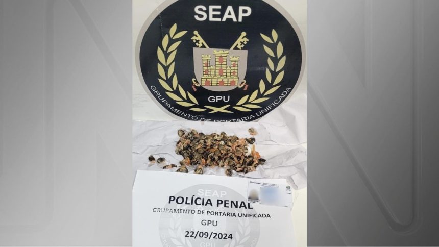 mulher-tenta-entrar-em-presidio-com-droga-escondida-em-salsichas-no-rj