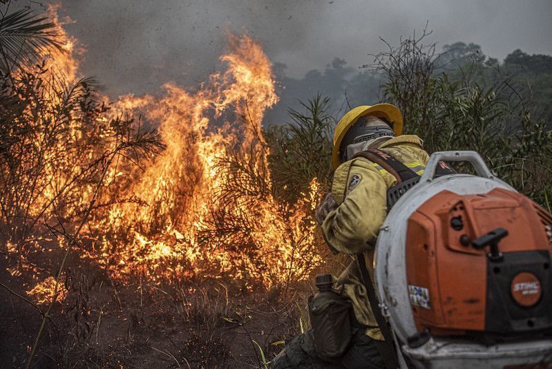 focos-de-incendio-na-area-amazonica-em-2024-superam-os-numeros-do-ano-anterior