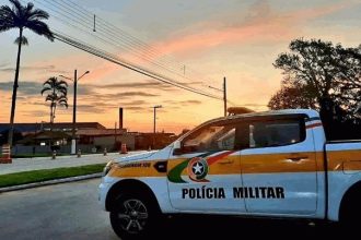 crianca-morre-apos-ser-esquecida-dentro-de-carro-em-sc;-policia-investiga