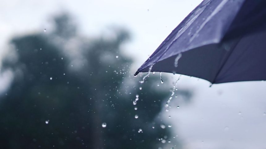 frente-fria-se-desloca-e-sao-paulo-pode-ter-chuva-e-queda-de-temperatura-nesta-sexta