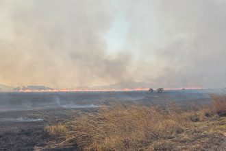 novo-incendio-fecha-parque-da-chapada-dos-veadeiros