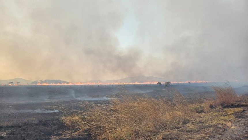 novo-incendio-fecha-parque-da-chapada-dos-veadeiros