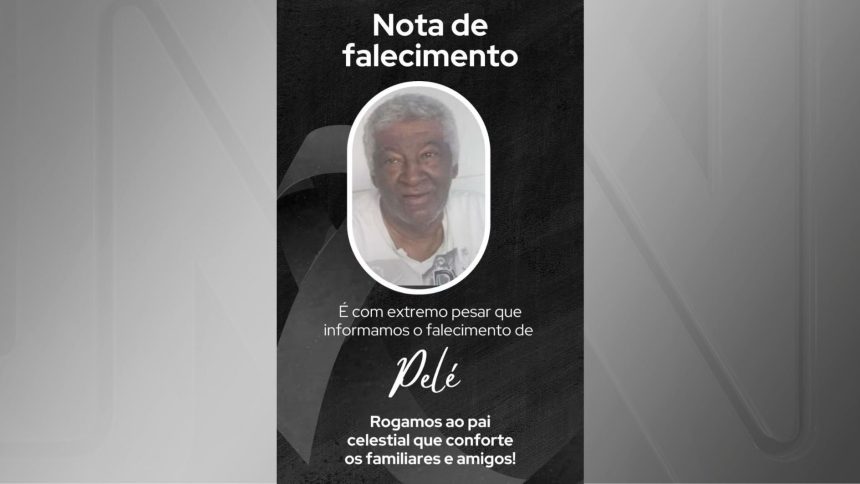 homem-de-74-anos-morre-apos-ataque-de-abelhas-em-pernambuco