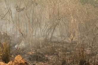 brasil-teve-11-milhoes-de-hectares-queimados-entre-janeiro-e-agosto-de-2024