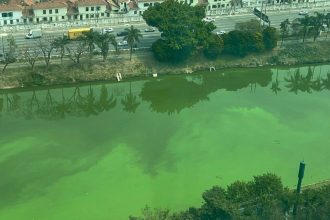 sao-paulo-comeca-nova-operacao-para-reduzir-algas-no-rio-pinheiros-nesta-sexta-feira-(27)