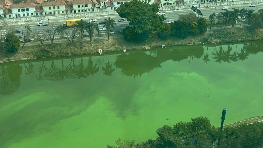 sao-paulo-comeca-nova-operacao-para-reduzir-algas-no-rio-pinheiros-nesta-sexta-feira-(27)