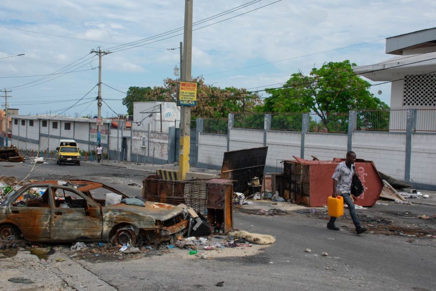 onu-faz-apelo-por-controle-mais-rigido-de-armas-enviadas-ao-haiti