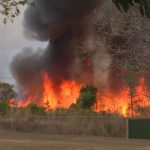 fumaca-de-incendio-florestal-interdita-pista-do-aeroporto-de-brasilia;-voos-nao-foram-prejudicados