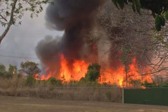 fumaca-de-incendio-florestal-interdita-pista-do-aeroporto-de-brasilia;-voos-nao-foram-prejudicados