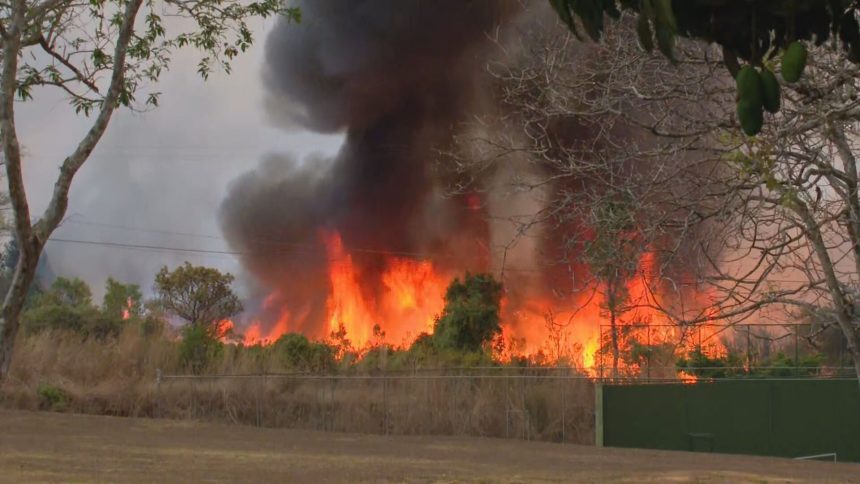 fumaca-de-incendio-florestal-interdita-pista-do-aeroporto-de-brasilia;-voos-nao-foram-prejudicados