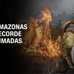 pf-prende-suspeito-e-identifica-250-hectares-de-area-devastada-no-amazonas