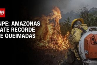 pf-prende-suspeito-e-identifica-250-hectares-de-area-devastada-no-amazonas