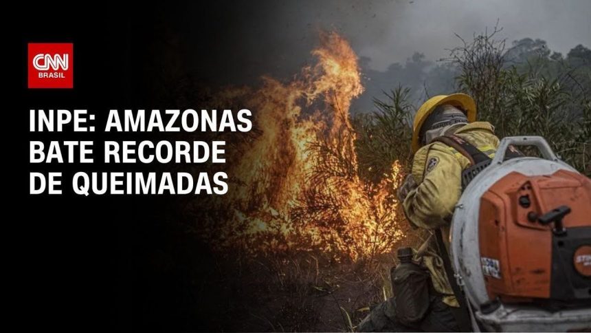 pf-prende-suspeito-e-identifica-250-hectares-de-area-devastada-no-amazonas