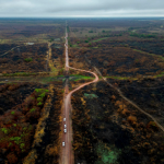 ceo-da-oncafari-a-cnn:-recuperacao-da-fauna-do-pantanal-depende-das-cheias