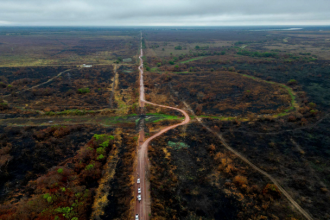 ceo-da-oncafari-a-cnn:-recuperacao-da-fauna-do-pantanal-depende-das-cheias