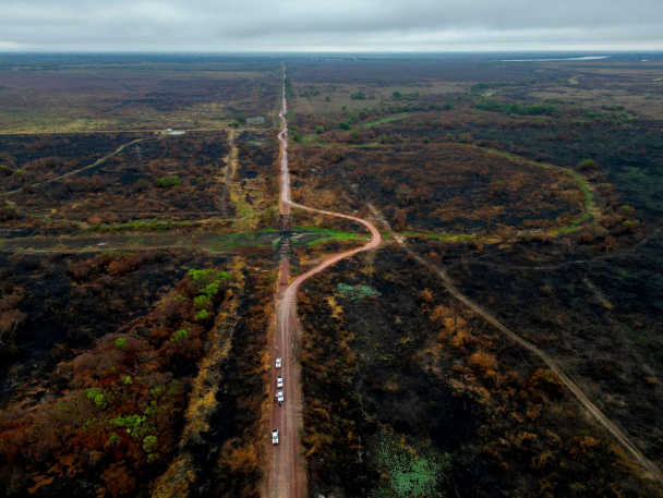 ceo-da-oncafari-a-cnn:-recuperacao-da-fauna-do-pantanal-depende-das-cheias