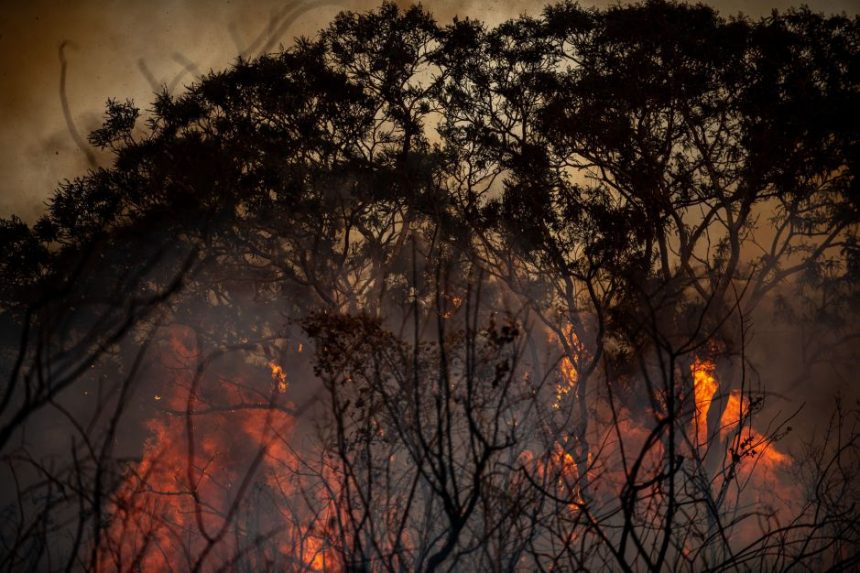 carlos-nobre-a-cnn:-processo-de-aumento-de-secas-e-onda-de-calor-se-acelera-com-temperaturas-recordes