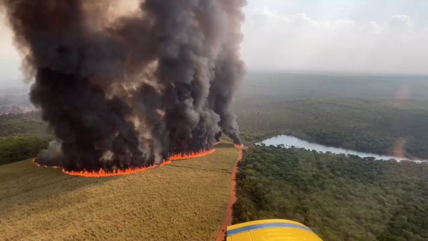 defesa-civil-emite-novo-alerta-para-risco-de-queimadas-em-sp