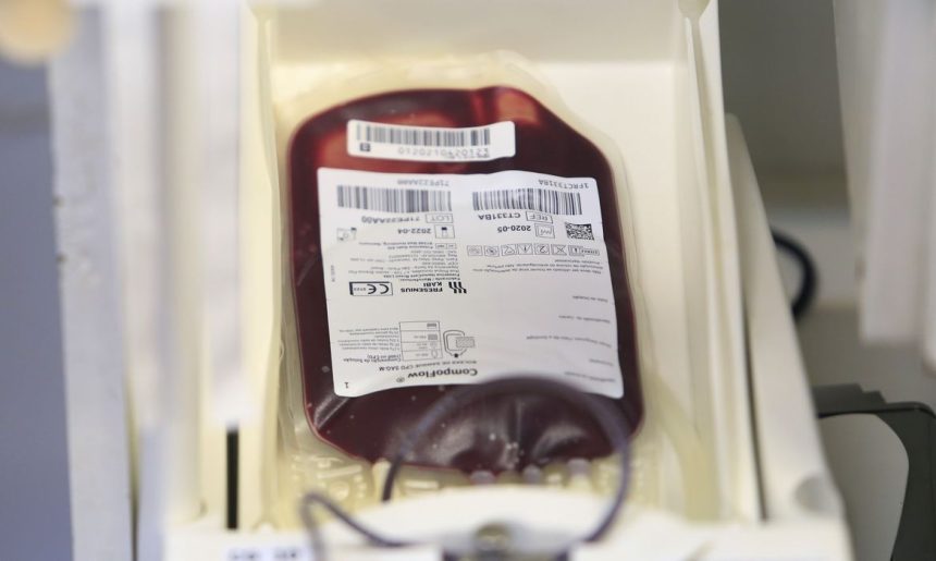 hemorio-registra-queda-de-15%-em-numero-de-doacoes-de-sangue-diarias